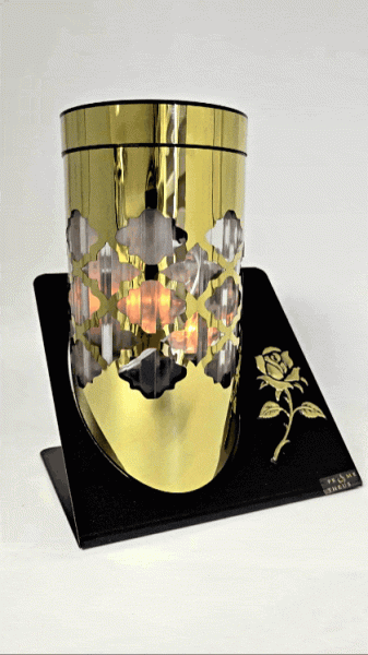GIF_20240317_140013_013.gif