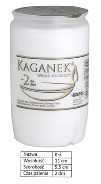 Kaganek K-2.jpg