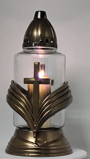 SmartSelect_20250412_202402_Camera.gif
